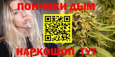 spice Кингисепп