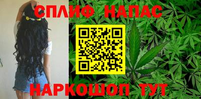spice Кингисепп