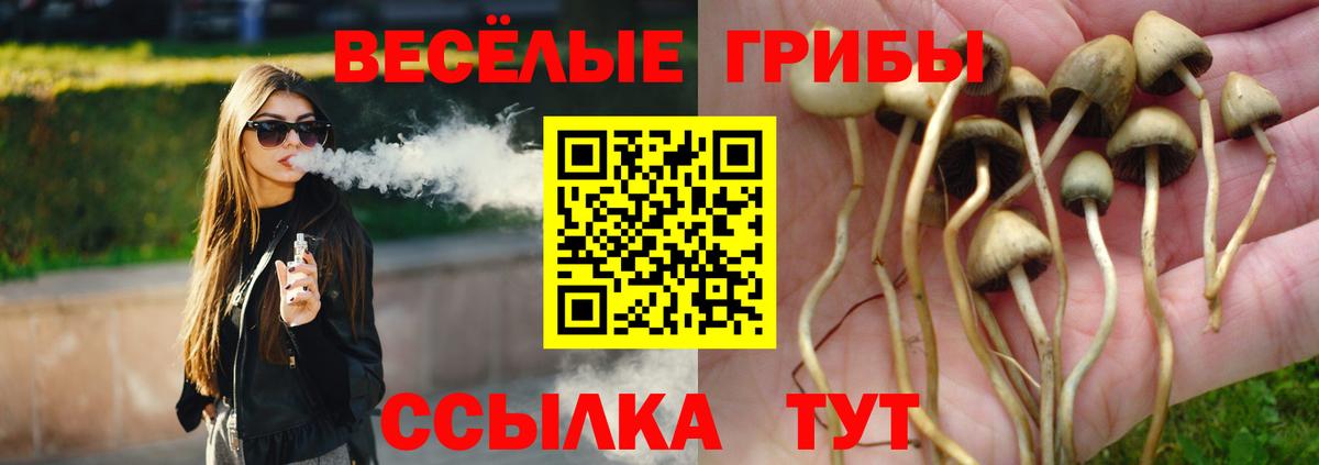 Галлюциногенные грибы мухоморы Коркино